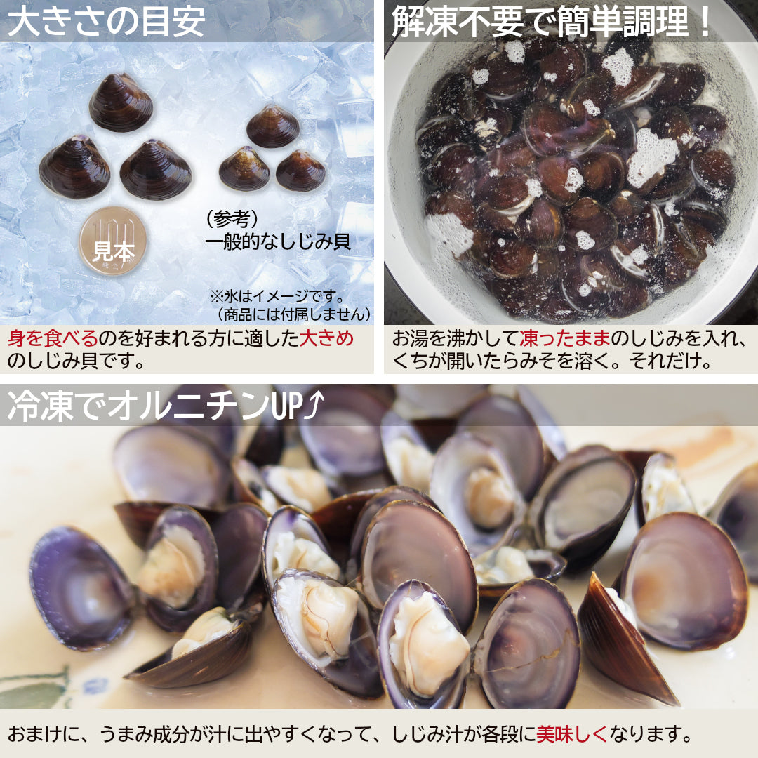 テレビで紹介！】『青森県十三湖産 冷凍しじみMサイズ』2kg(500g×4袋