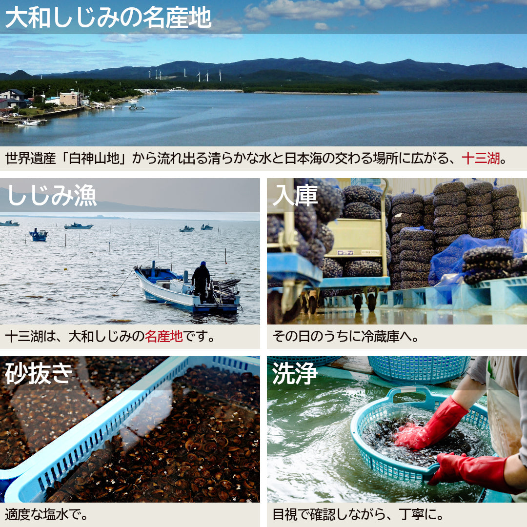 テレビで紹介！】『青森県十三湖産 冷凍しじみMサイズ』2kg(500g×4袋
