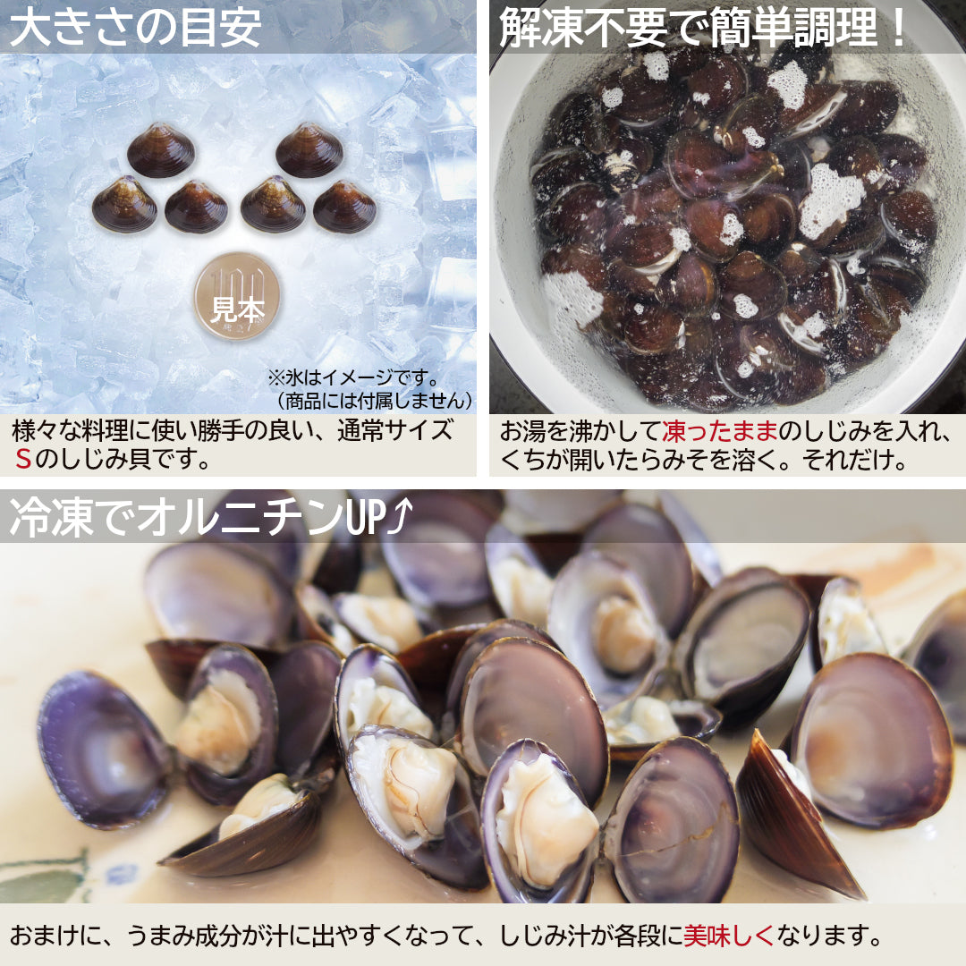 『青森県十三湖産 冷凍しじみＳサイズ』3kg(500g×6袋)名産地の味をオルニチンUPで！【冷凍品】