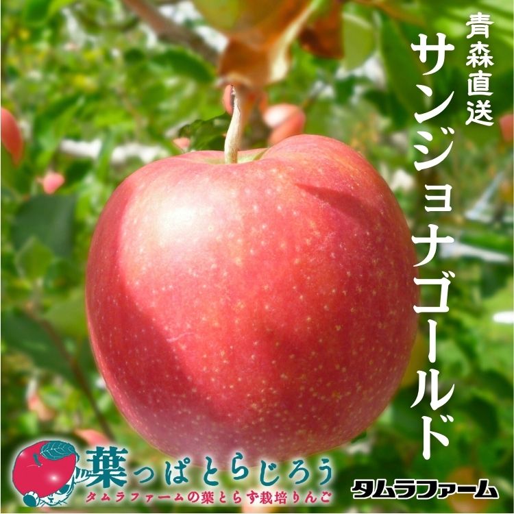 サンジョナゴールドりんご【送料込】【りんご】【青森県産】【葉っぱとらじろう】【期間限定】