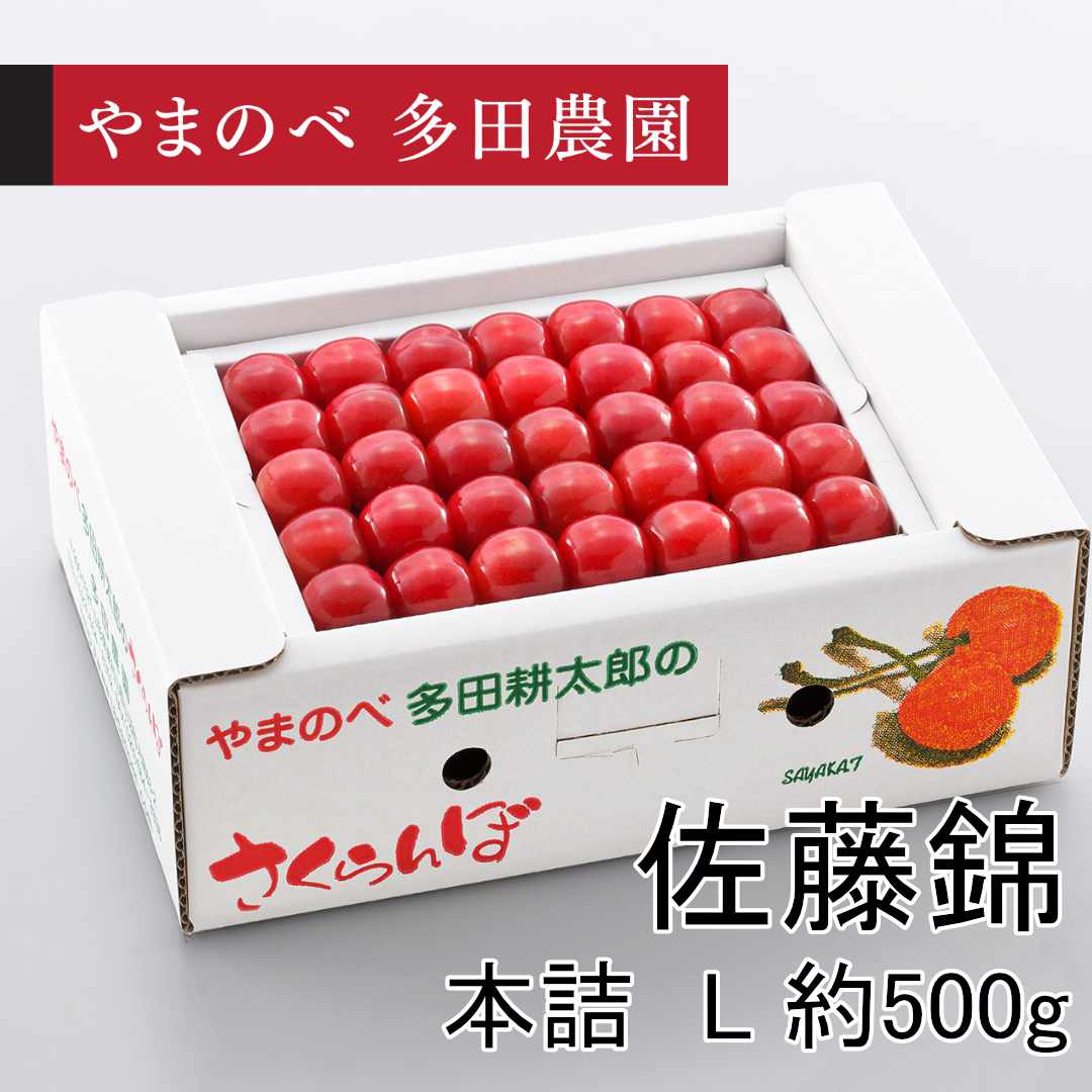 佐藤錦（Lサイズ 本詰）約500g×1パック　先行予約受付中