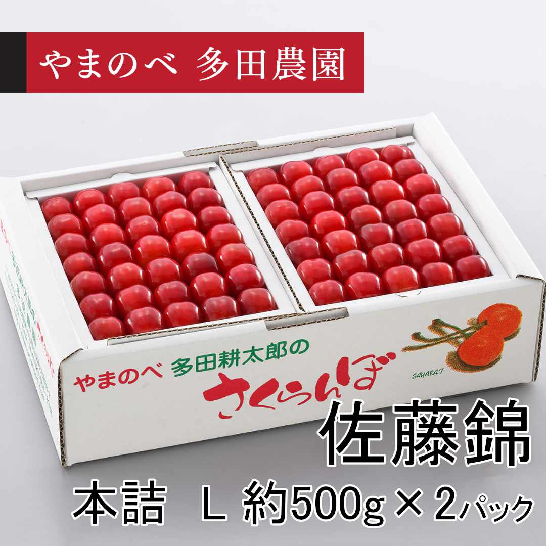 佐藤錦（Lサイズ 本詰）約500g×2パック　先行予約受付中