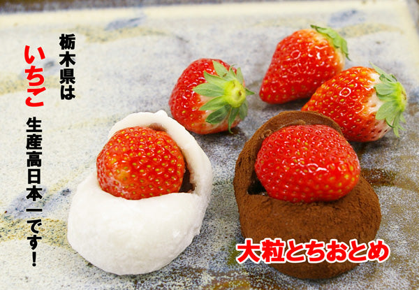 【栃木県発！】とちあいか　いちご大福(こし餡）３個　よもぎいちご大福(粒餡）３個　詰合せ　 6個入り 　
