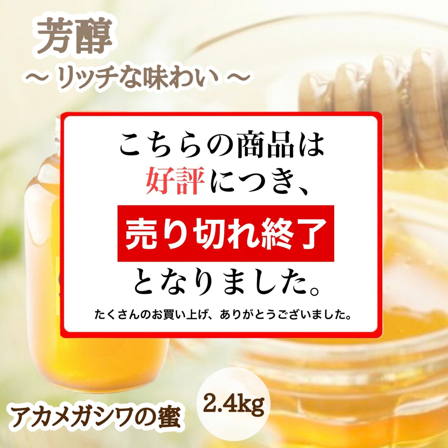 はちみつ　令和7年度産　新蜜　芳醇～リッチな味わい～　「アカメガシワの蜜」 愛媛県産　松山中島産純粋ハチミツ　アカメガシワの蜜　2.4kg