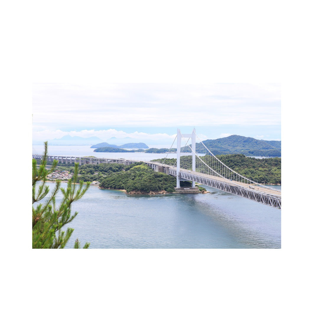 【最高級】ご飯のすすむ味海苔▶2025年初摘み海苔で作った下津井産/小袋セット