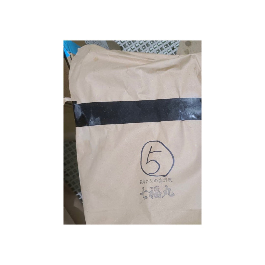 国産 生真タコ（まだこ/たこ）冷凍 10kg  ブロック凍結 瀬戸内産　500ｇ-1ｋｇ　瀬戸内海 韓国料理 ナッチポックン 小ダコ 釣り餌