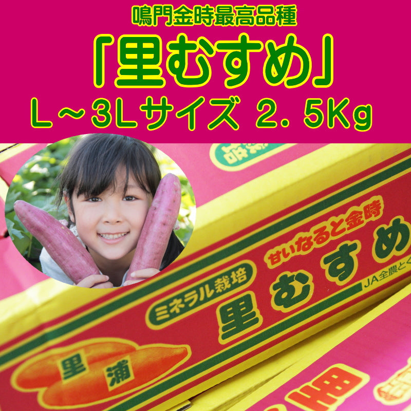 鳴門金時最高品種「里むすめ」　【北海道・沖縄・青森・秋田・岩手・宮城・山形・福島へのお届けは出来ません】