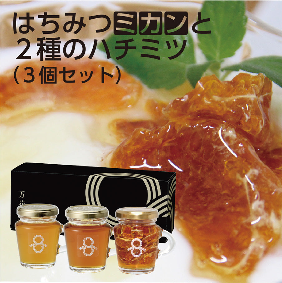 はちみつミカンと２種のはちみつ（３個セット）