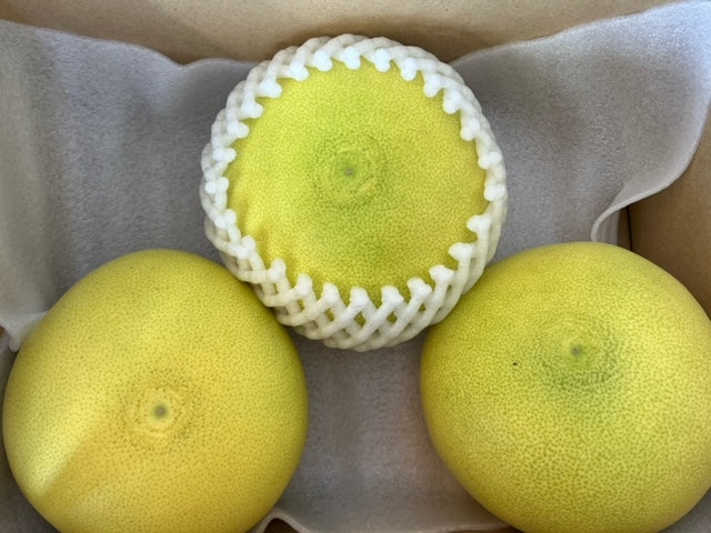 【お試し】【温室育ちの水晶文旦】2Lサイズ3個入り、「送料無料一部地域を除く」