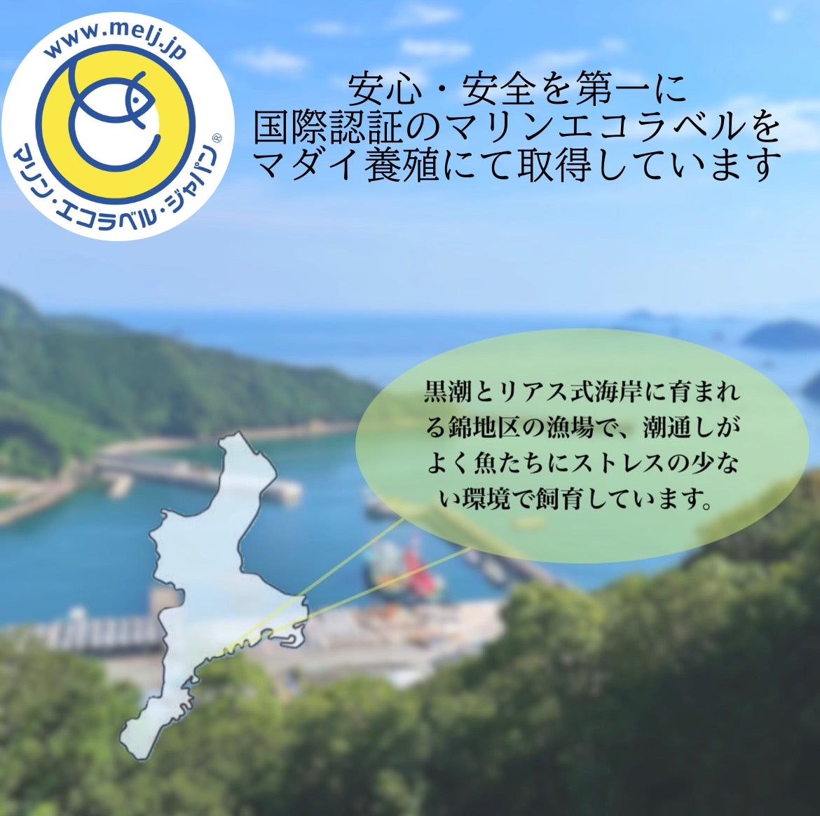 めでたい！お試し数量限定！お刺身・しゃぶしゃぶ用　冷凍真鯛柵パック総量500g入！！