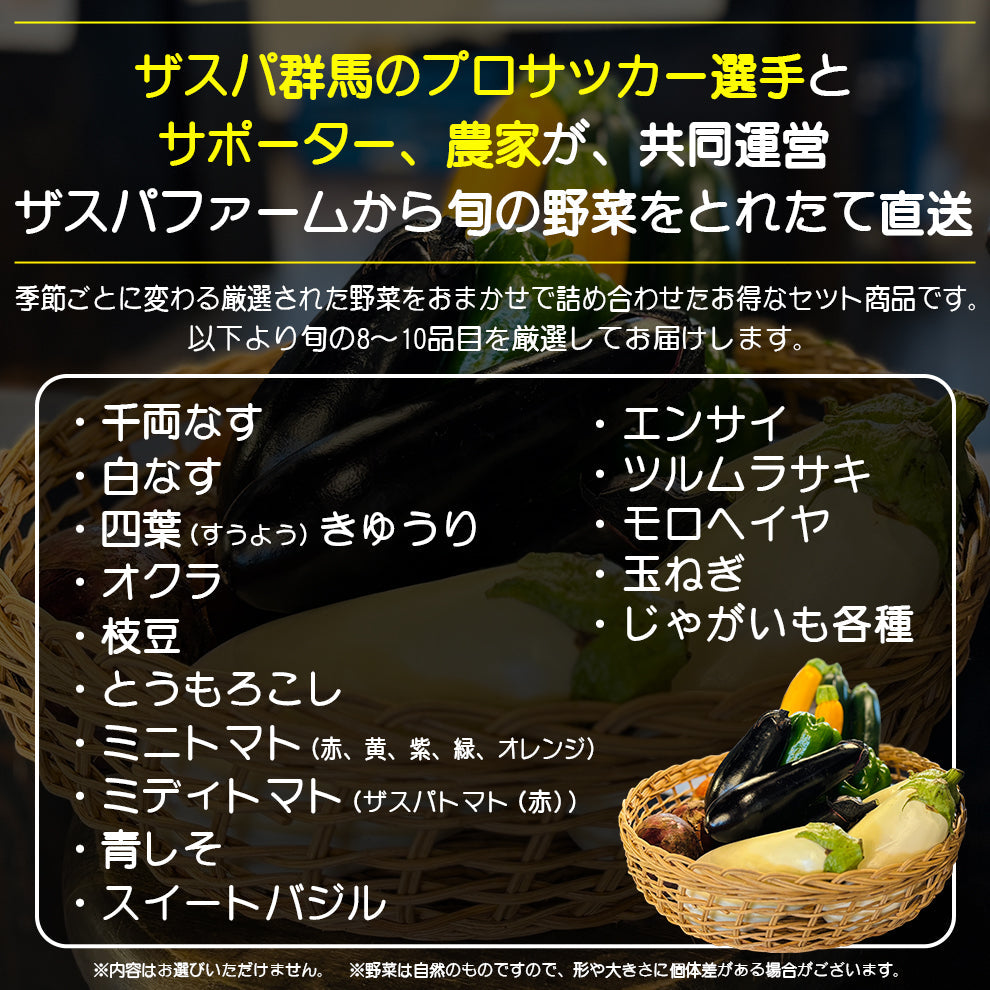 ザスパファームのおすそわけ旬野菜セット(約8品目)※沖縄県配送不可※
