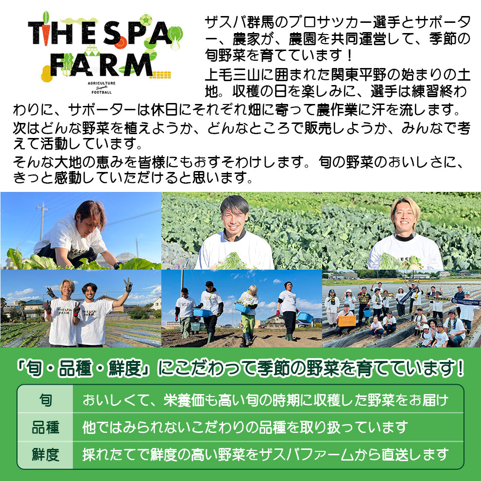ザスパファームのじゃがいも食べ比べセット(5品種5kg)※沖縄県配送不可※