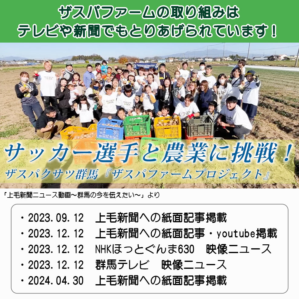 ザスパファームのおすそわけ旬野菜セット(約8品目)※沖縄県配送不可※