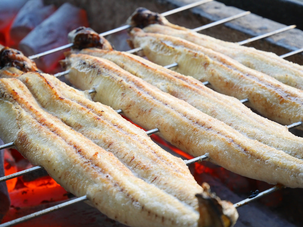 ◆愛知一色産◆炭焼うなぎ白焼き