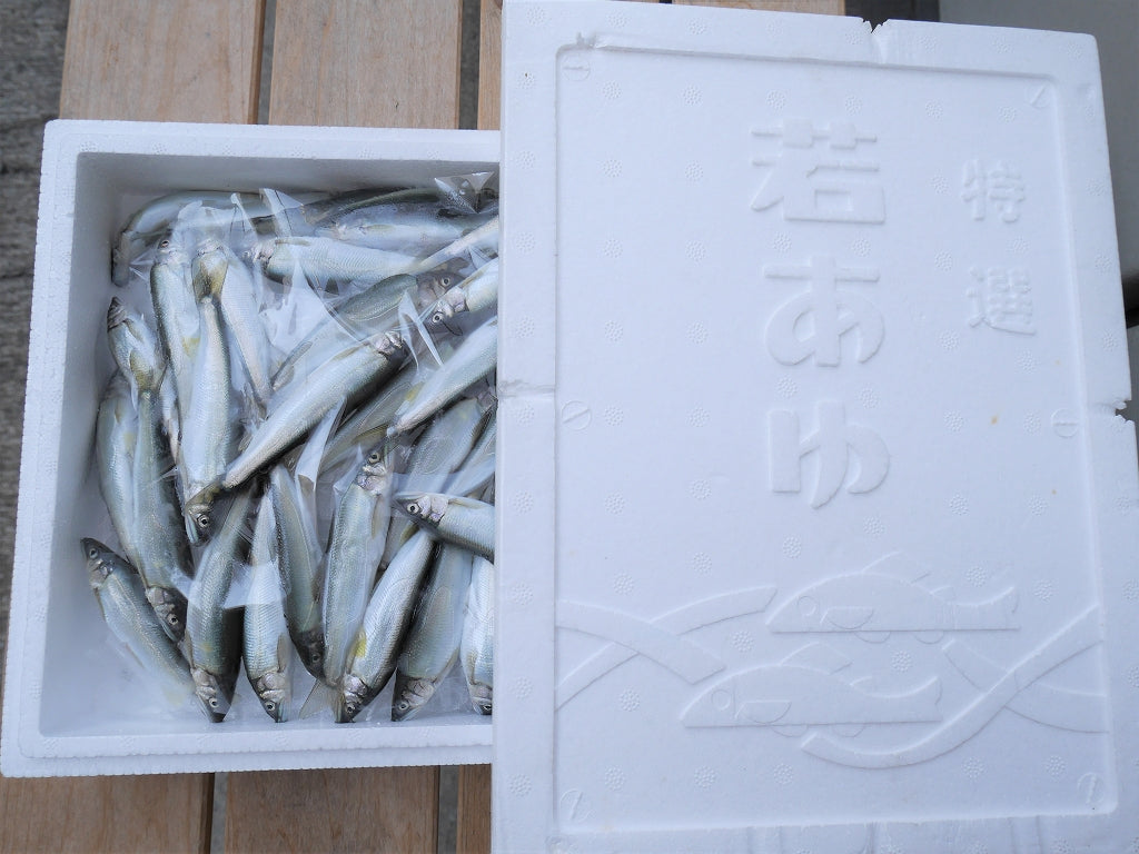 【岐阜県産】鮎みそ　★当店オリジナ商品★