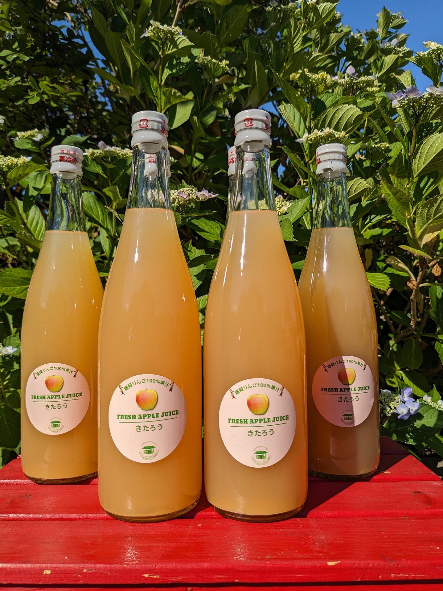 岩手生まれのりんご「きたろう」100％りんごジュース　720ml×6本