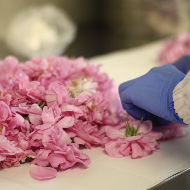 秋田薔薇園産　純粋ローズウォーター