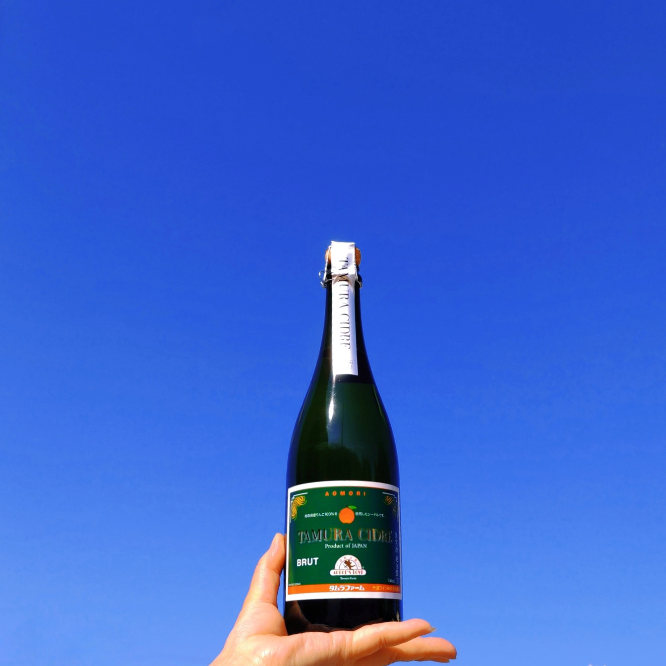 タムラシードルＳＥＣ・ＢＲＵＴ詰め合わせ【お中元】【化粧箱入】