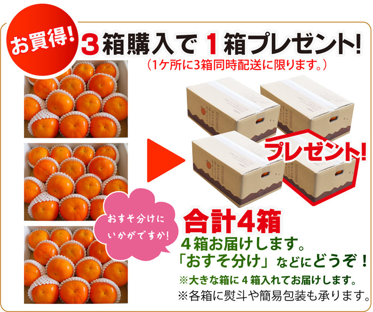 ＜柿の王様＞樹上完熟！★富有柿 ふゆうがき★【採れたて】と【貯蔵】が選べます。【福岡県産】