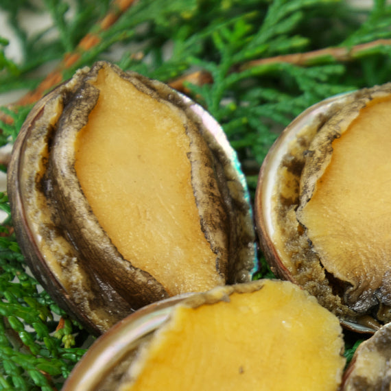 【一部地域を除き送料無料】あわびの色々な魅力を味わえる 海山セット