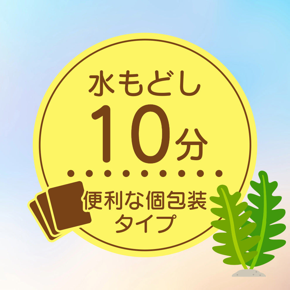 【お試し】海藻を食べよう！海藻サラダ5g×6袋セット(5g×3×2袋)【日本全国送料無料】【ポスト投函】