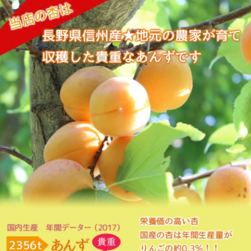 【期間限定11月～3月販売】【冬季限定】信州産杏づくし★杏もなか・杏花の実・あま杏・杏チョコ（ビター）　詰合せセットB【スイーツ】