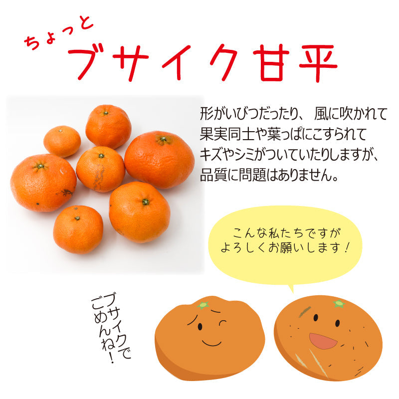※予約販売中※【送料無料】ちょっとブサイク「甘平(かんぺい)」〈訳あり〉約3kg　※発送は１月下旬～２月上旬予定