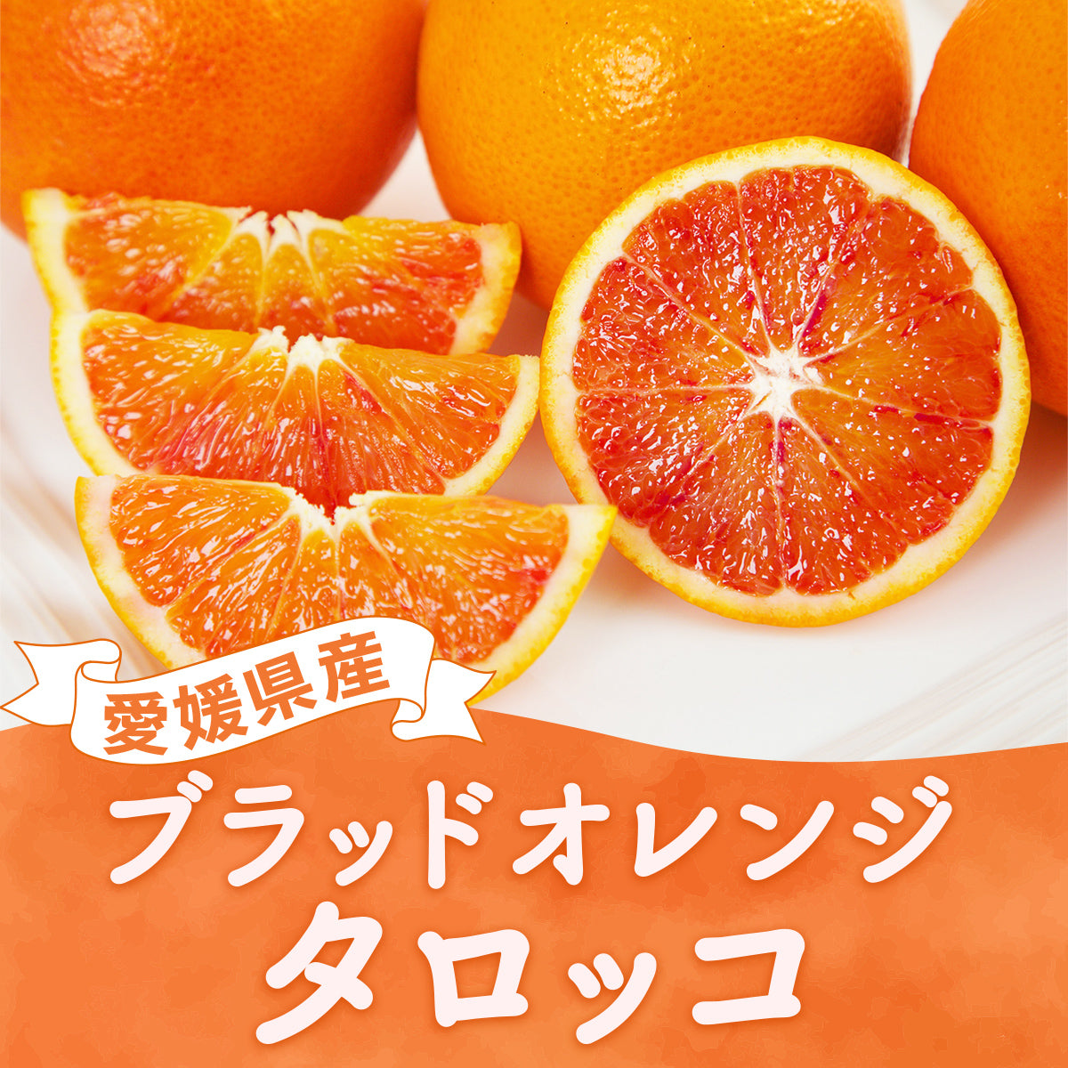 【送料無料】愛媛県産ブラッドオレンジ「タロッコ」