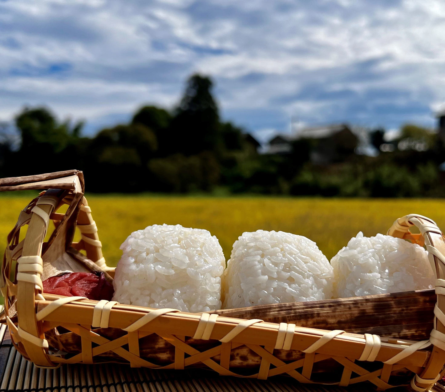 【原さんちのお米2㎏】【2025年産】群馬の甘くて楽しい町（甘楽町）のこんにゃく農家、原さんが自分のために本気で育てたお米【ゆうだい21】