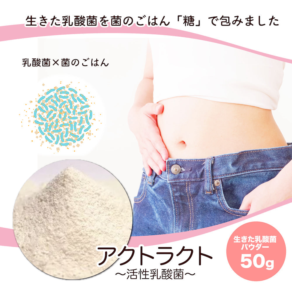 乳酸菌 パウダー 50g 活性乳酸菌 腸活 ビフィズス菌 サプリメント イヌリン トレハロース