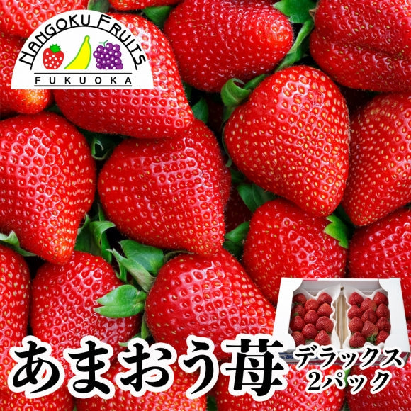 【予約販売】福岡産 あまおういちご