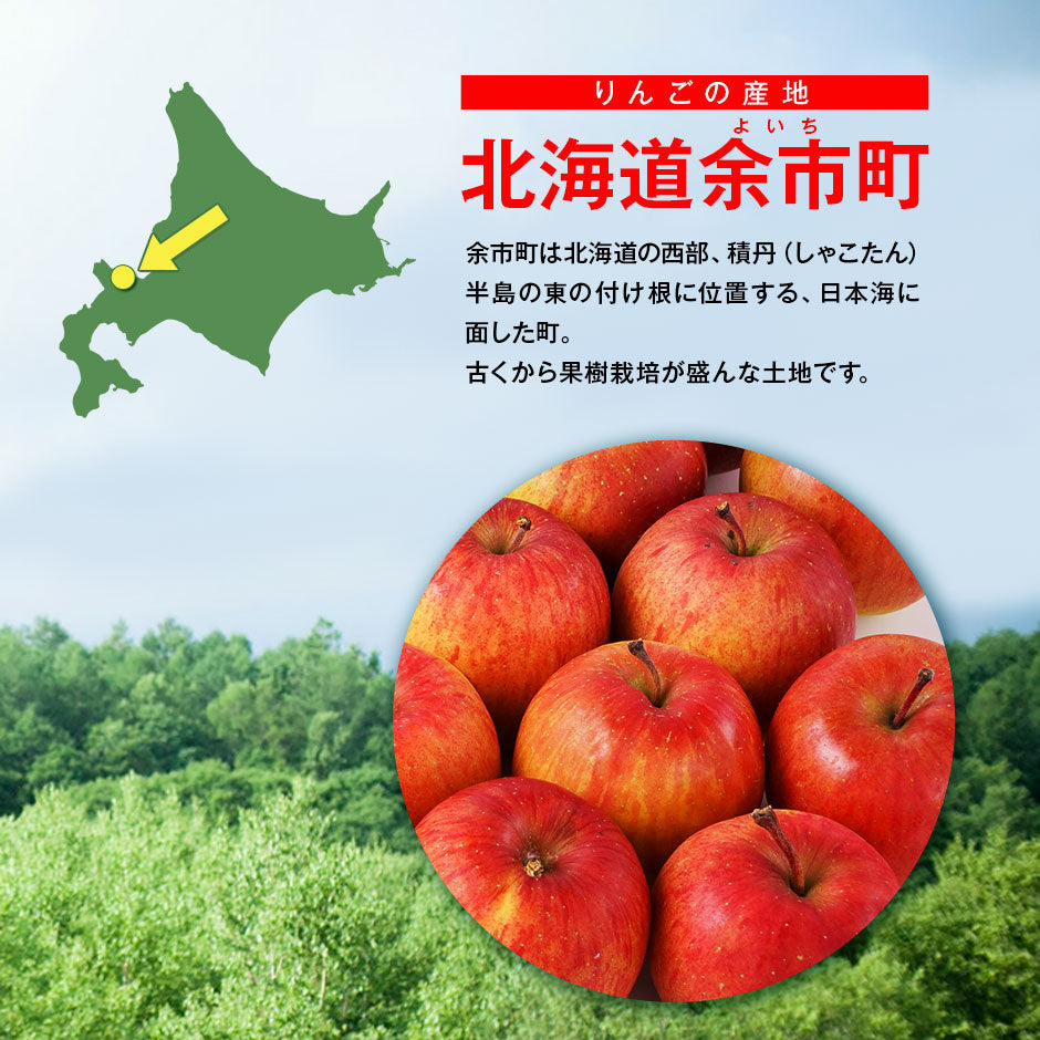 北海道 余市産 りんご リンゴ （訳あり品・品種：ふじ） 9-10玉入り 2.5kg 【送料無料】 獲れたてをお届け