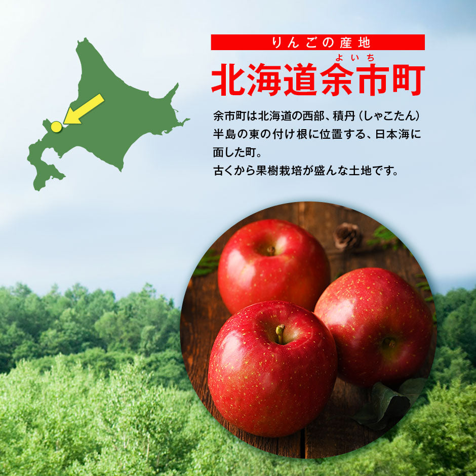 北海道 余市産 りんご リンゴ（秀品・品種：ふじ） 2.5kg 8-10玉入り 【送料無料】 獲れたてをお届け