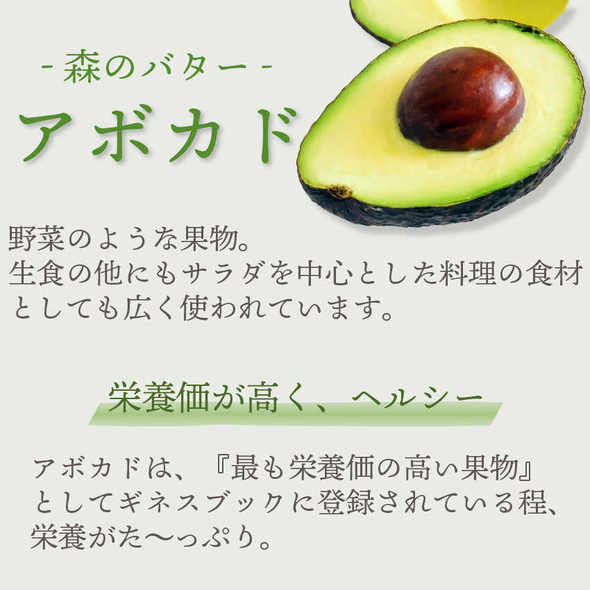 【送料無料】メキシコ産 アボカド
