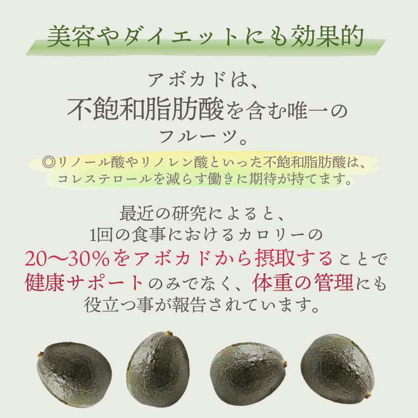 【送料無料】メキシコ産 アボカド