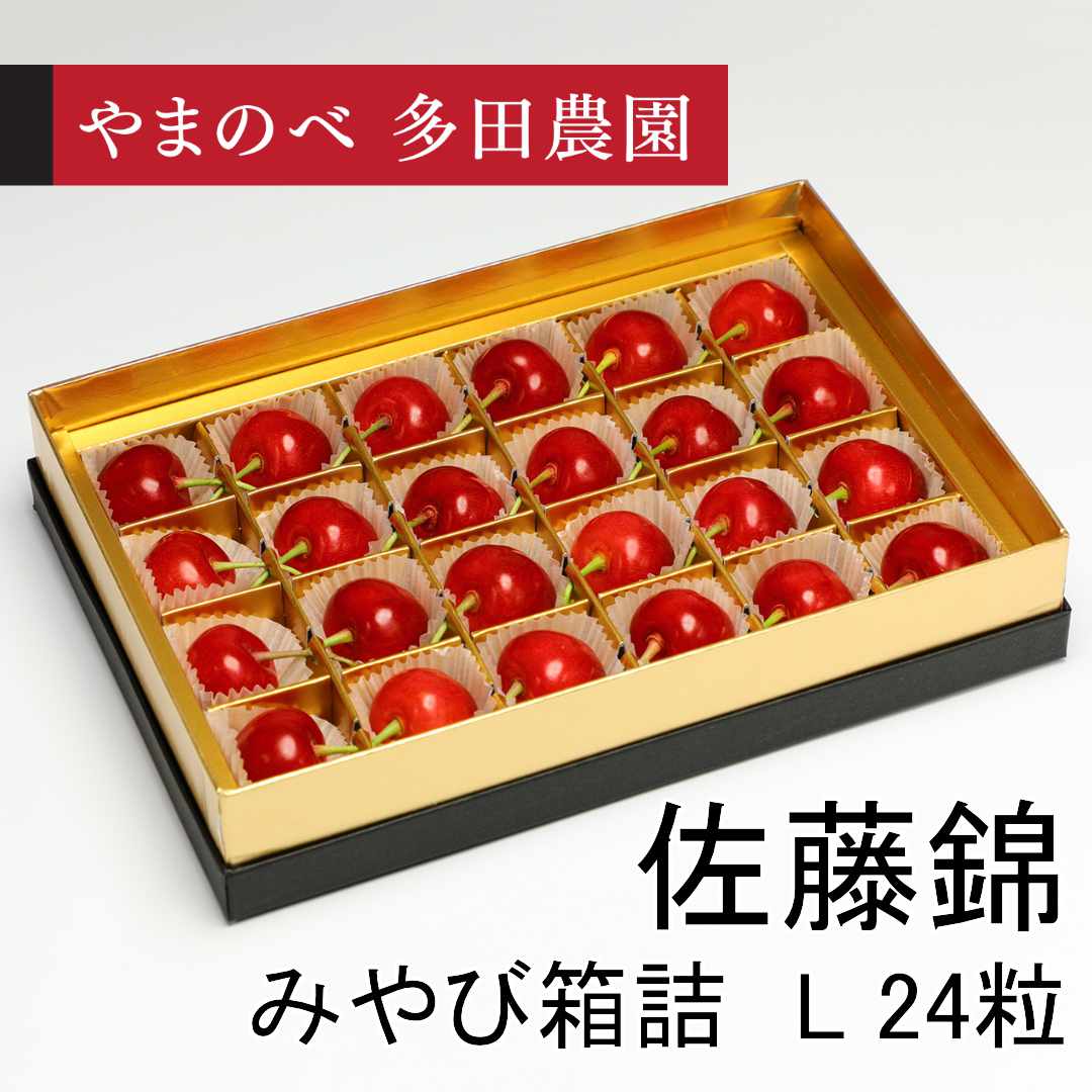 珠玉　佐藤錦（Lサイズ みやび箱詰）24粒　先行予約受付中