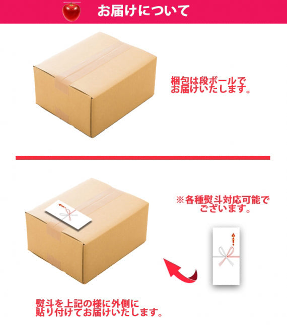 【売り切れ】【送料無料】長野県産シナノスイート 特秀品・3㎏前後（8～11玉）10月中旬から発送予定※北海道・九州追加送料200円、沖縄追加送料400円