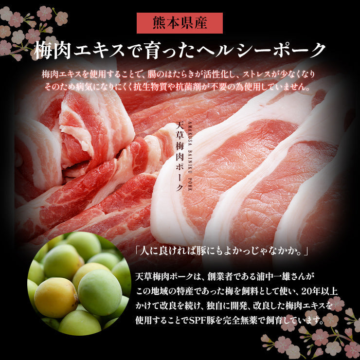 ギフト 贈り物 天草梅肉ポーク 豚肉 しゃぶしゃぶセット 鍋 ロース250g　約5人前 肩ロース250g  バラ250g モモしゃぶ250g
