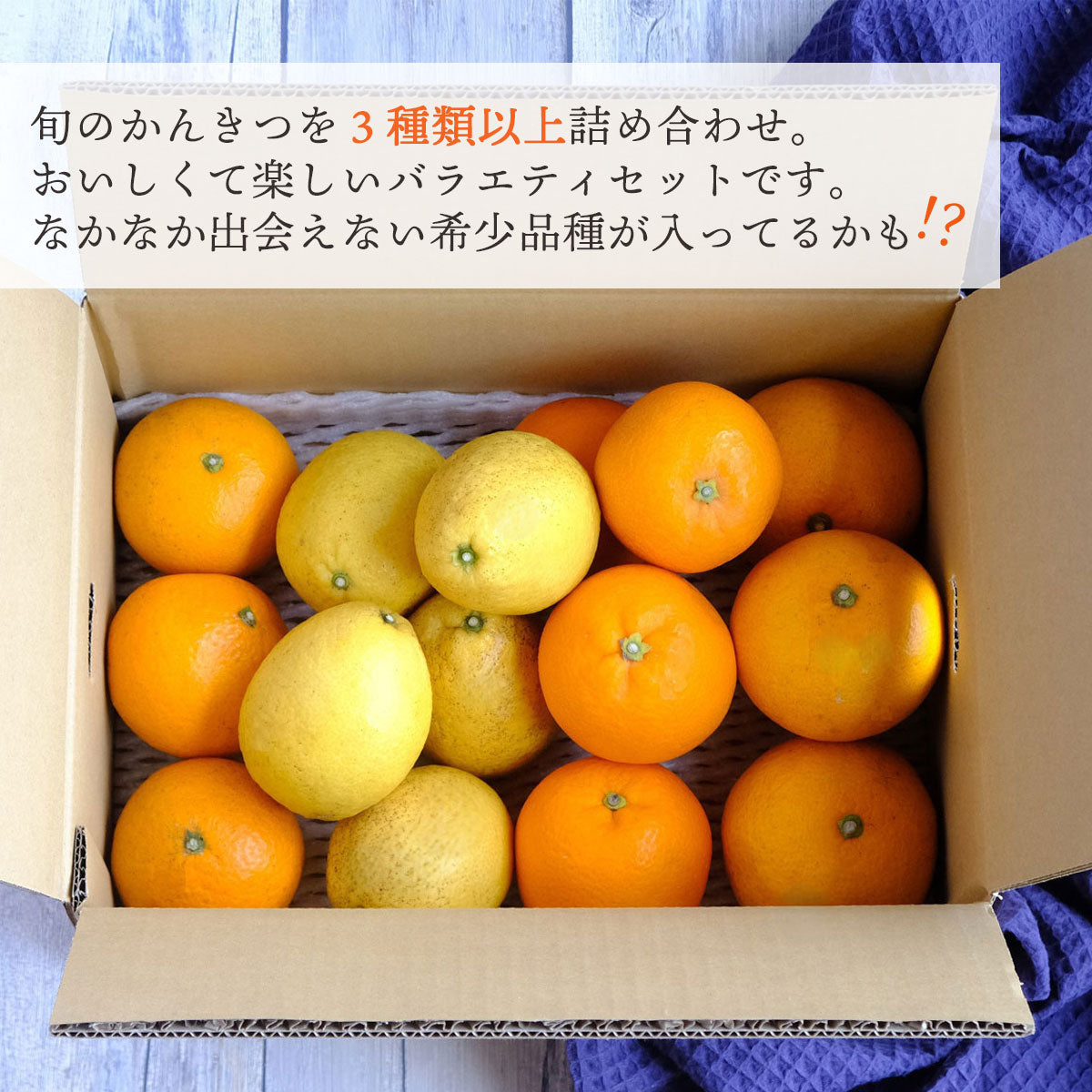 旬のかんきつ 詰め合わせ バラエティセット 3品種以上 合計3kg