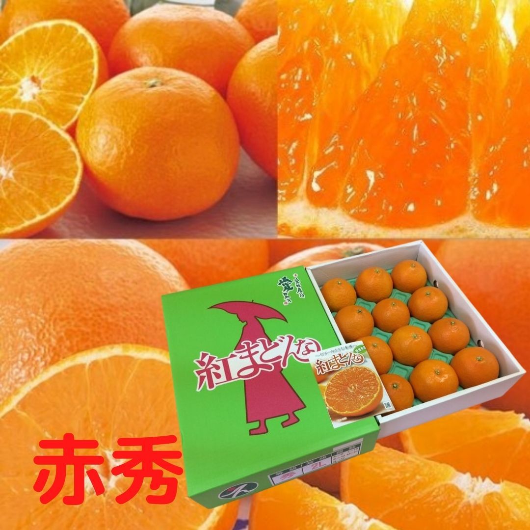 ★発送は12月上旬から★愛媛県産 紅まどんな【赤秀/匠と極】約2.7kg L~2L（12～15個入）