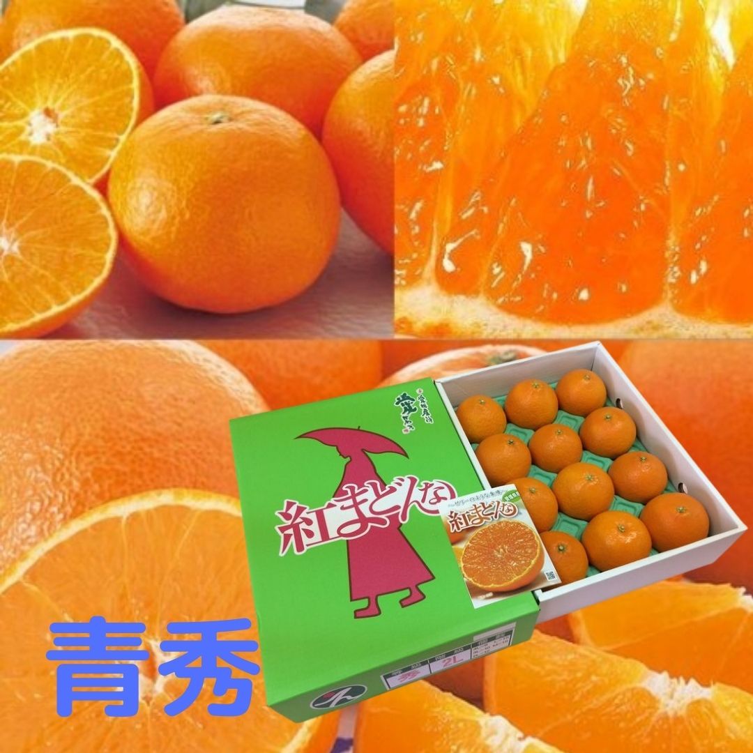 ★発送は12月上旬から★愛媛県産 紅まどんな【青秀】約2.7kg L~2L（12～15個入）