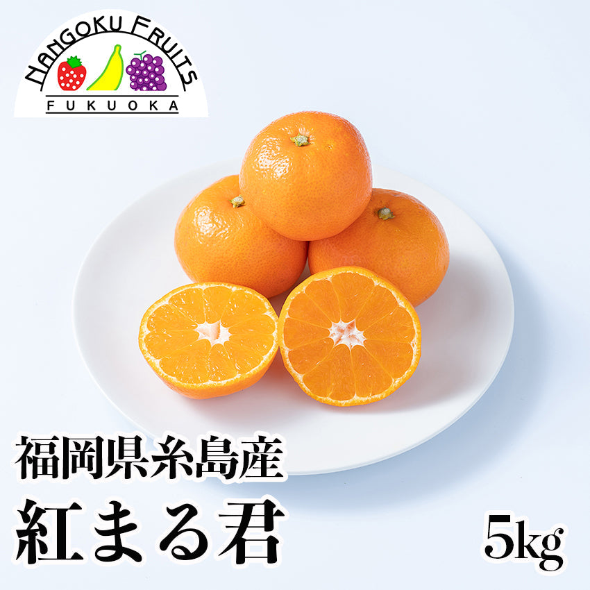 【先行予約】【送料無料】福岡県糸島産みかん　紅まる君 　【フルーツ】
