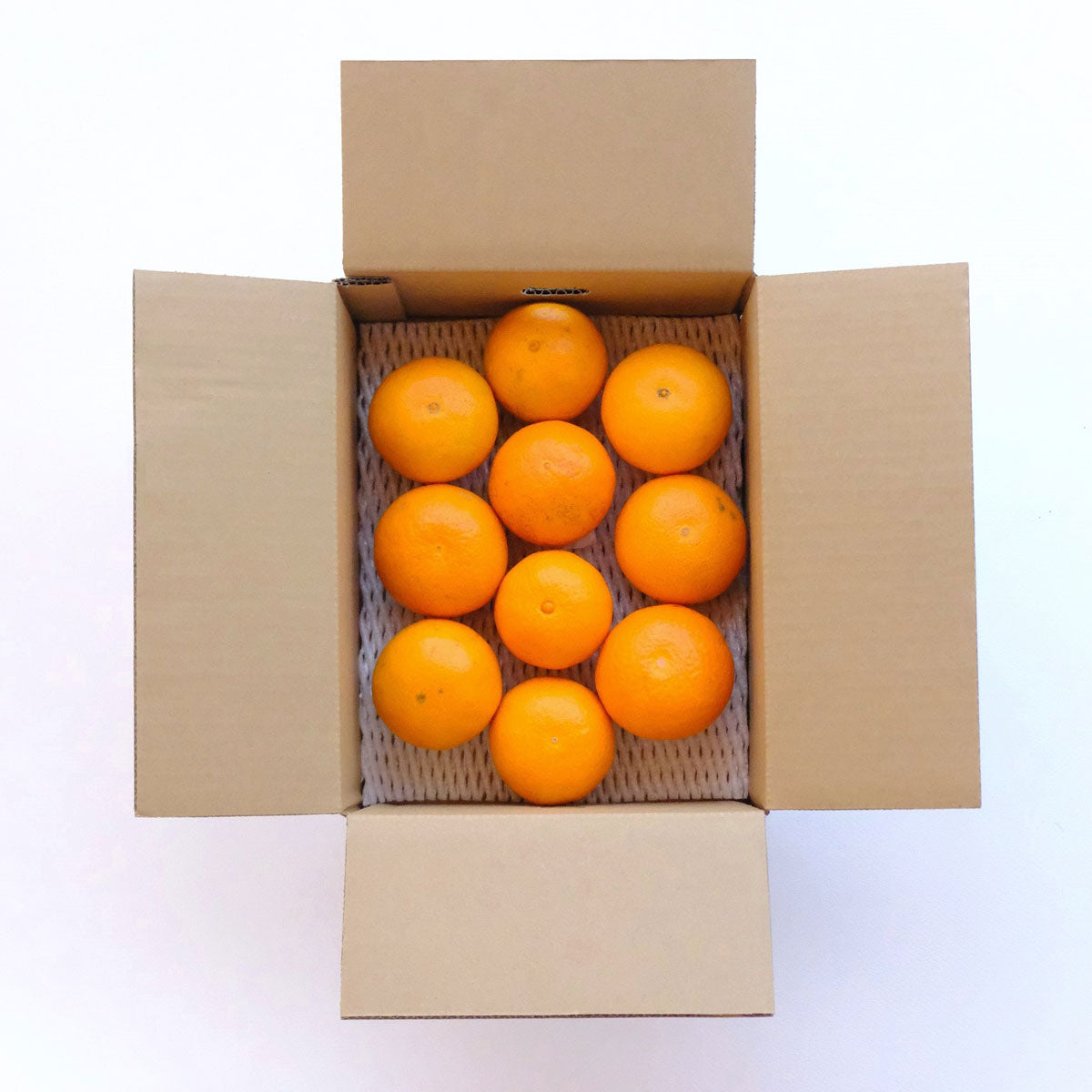 数量限定入荷】注目の新品種！紅プリンセスと同品種「愛媛果試48号