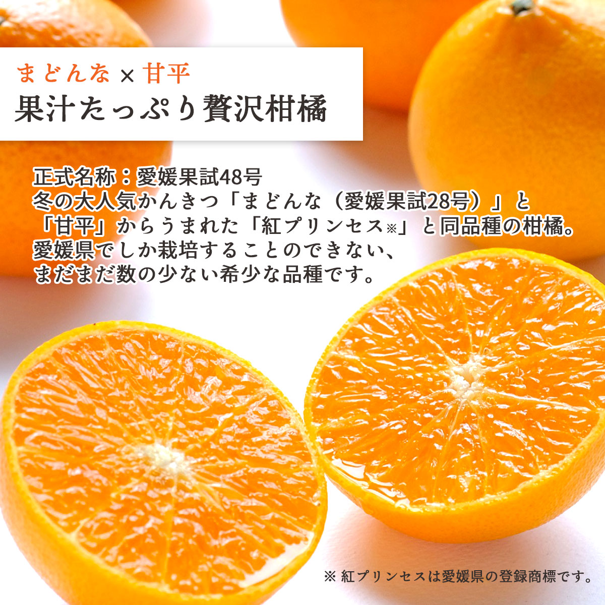 【数量限定入荷】注目の新品種！紅プリンセスと同品種「愛媛果試48号」 訳あり2kｇ