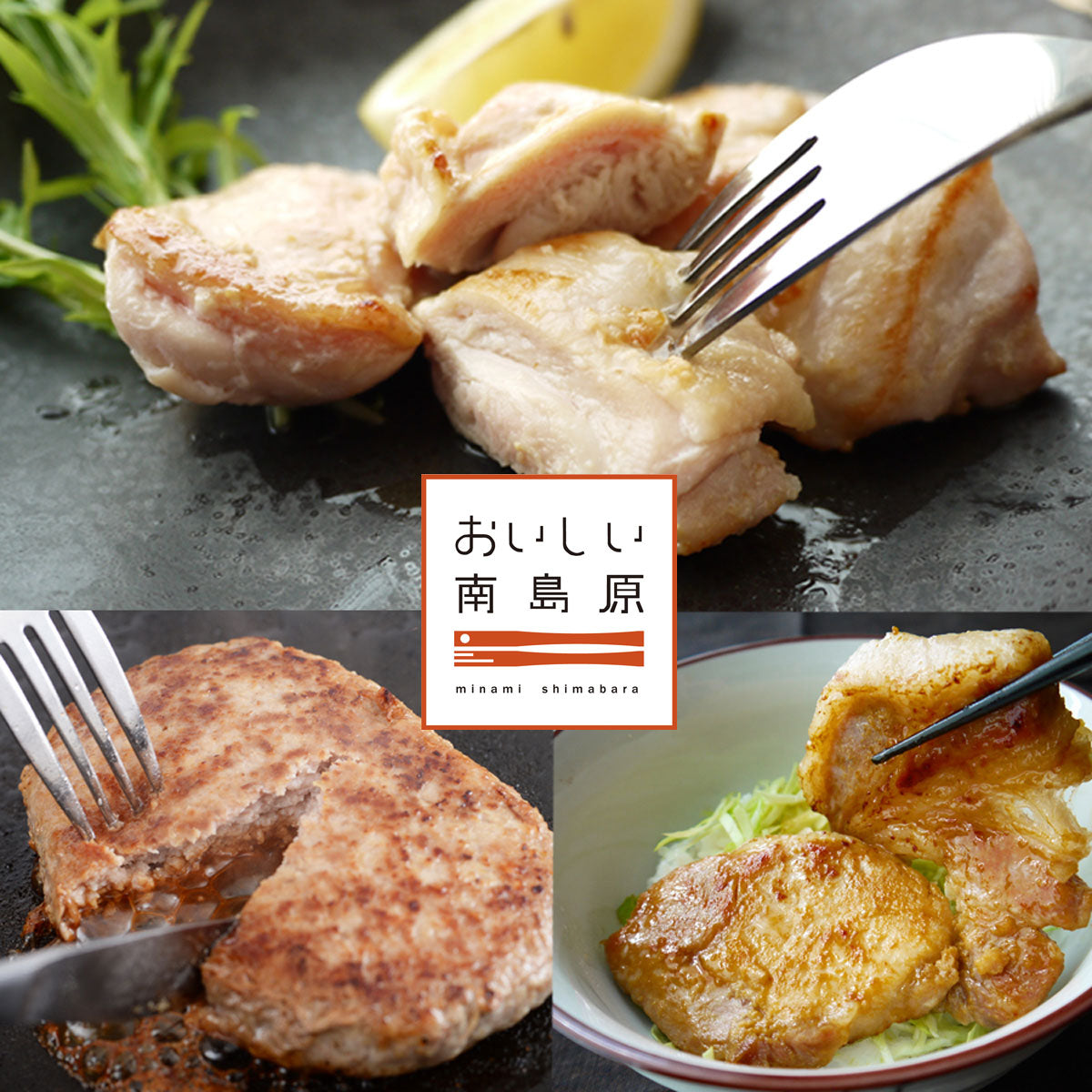 肉工房みぞたのベストセレクション(6人前)【送料込】