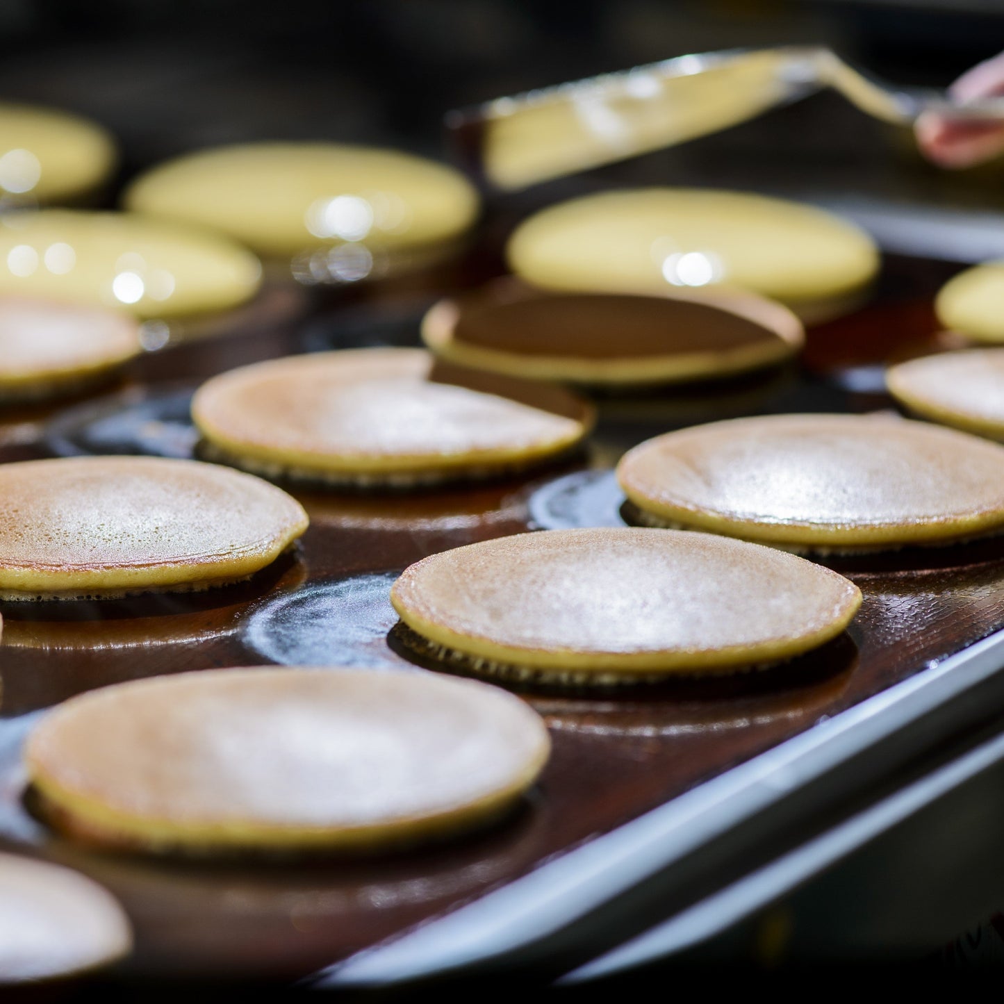 どら焼き・梅どら焼き・白小豆どら焼き<3種/12個入>[4・4・4]【和菓子 スイーツ】｜伊万里・小嶋や