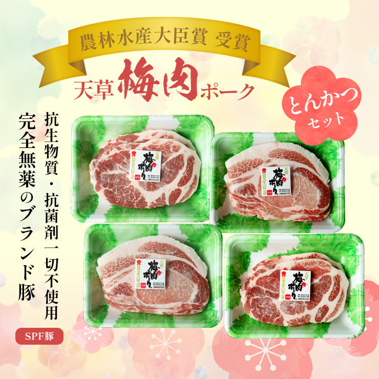 お歳暮 御歳暮プレゼント ギフト 贈り物 天草梅肉ポーク 豚肉 ロースとんかつ用 4枚 肩ロースとんかつ用 4枚 合計800g