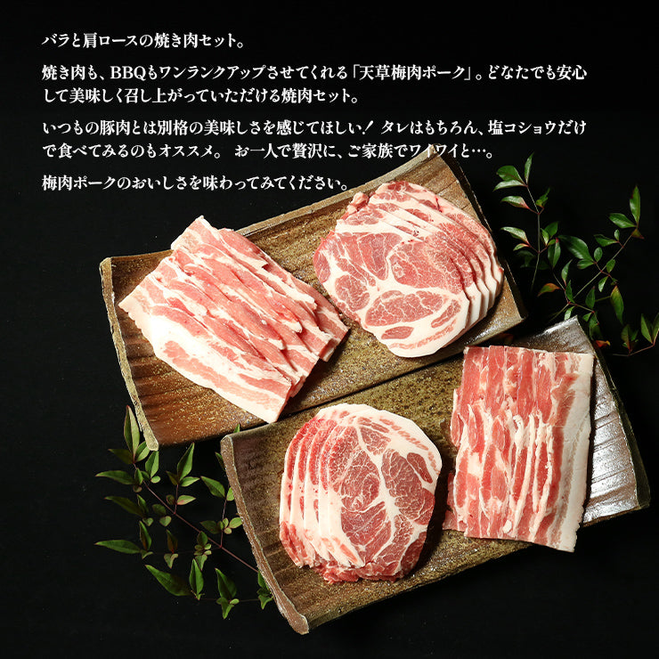 ギフト 贈り物 天草梅肉ポーク 焼肉セット 豚肉 バラ焼肉用 500g(250gx2p) 約5人前 肩ロース焼肉用 500g(250gx2p)