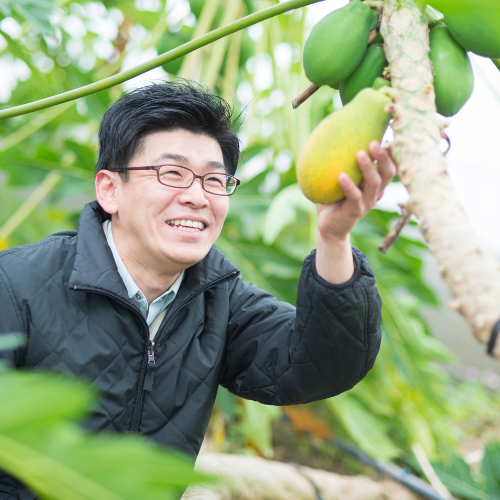 【送料込】宮崎バターサンド6種（蜂蜜、栗、ミルク、レーズン、塩キャラメル、日向夏）【菓te-ri】【宮崎てげうま】