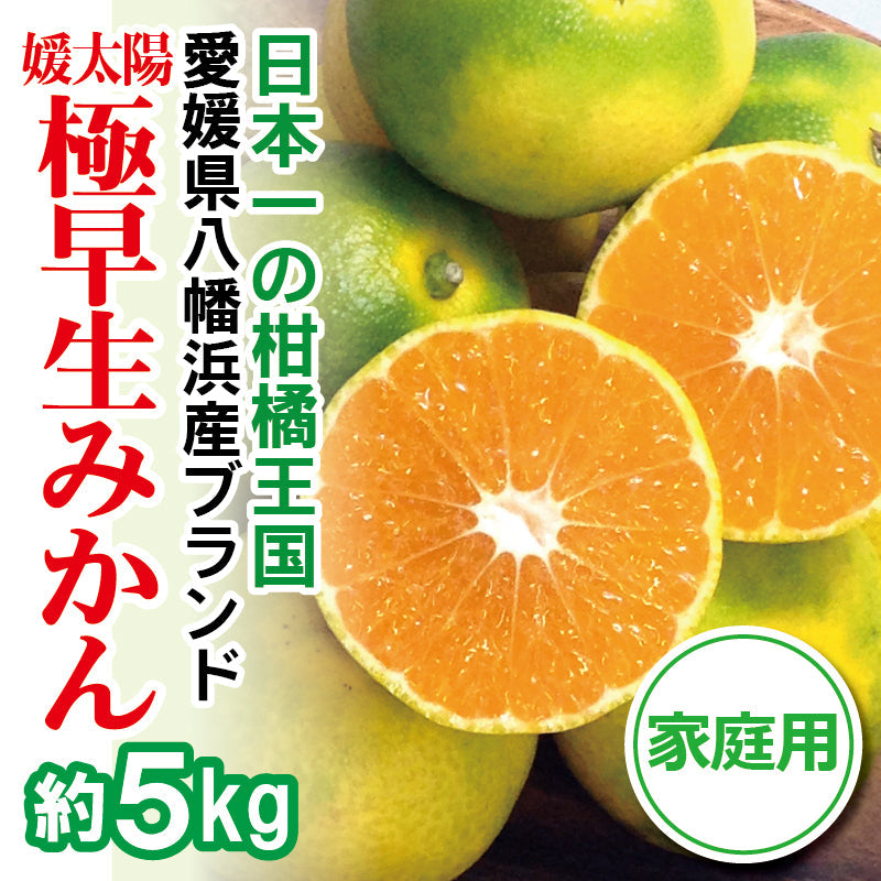 ※2025年9月頃より予約開始予定※愛媛県産「極早生みかん」〈家庭用〉約5kg